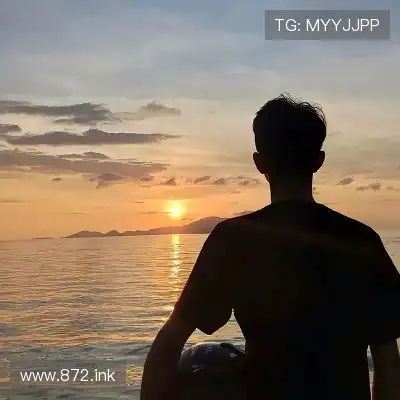 窦芸昀